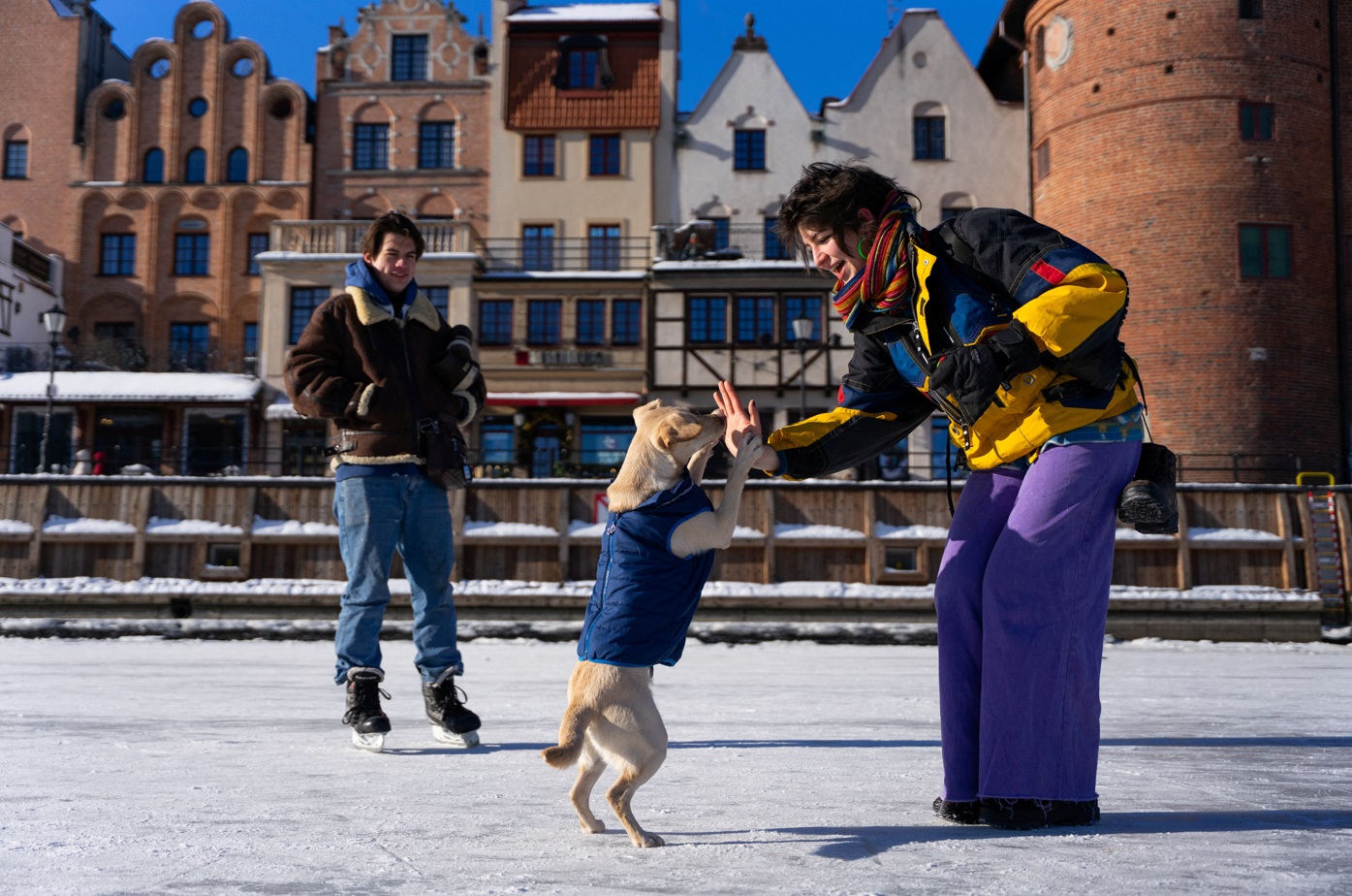 Kristalize Zaman: Dünya Buz Tuttuğunda