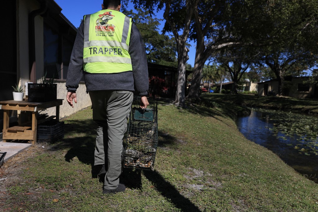 Ejderhaların Uykusu: Soğuk Bir Glitch
